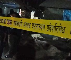भक्तपुरमा छोराले गरे आमाको हत्या